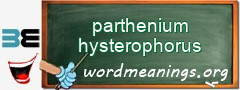 WordMeaning blackboard for parthenium hysterophorus